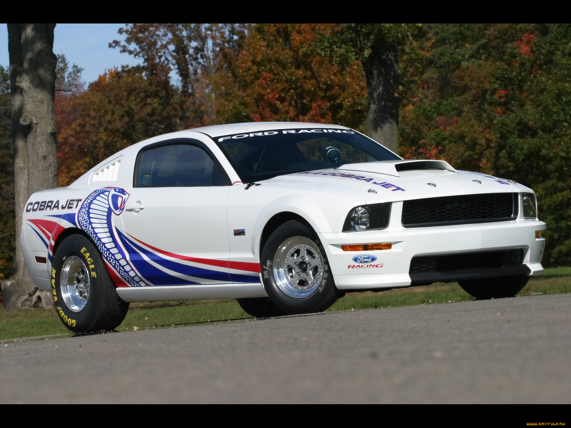 2008, ford, cobra, jet, mustang, 